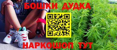 индика Владикавказ