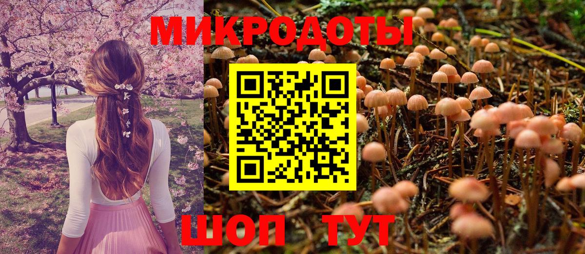 Псилоцибиновые грибы Cubensis  Вход с VPN  Знаменск 